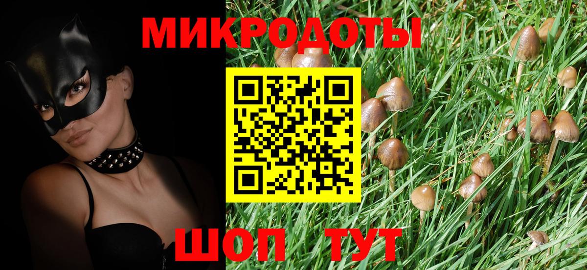 Псилоцибиновые грибы Psilocybine cubensis Семёнов