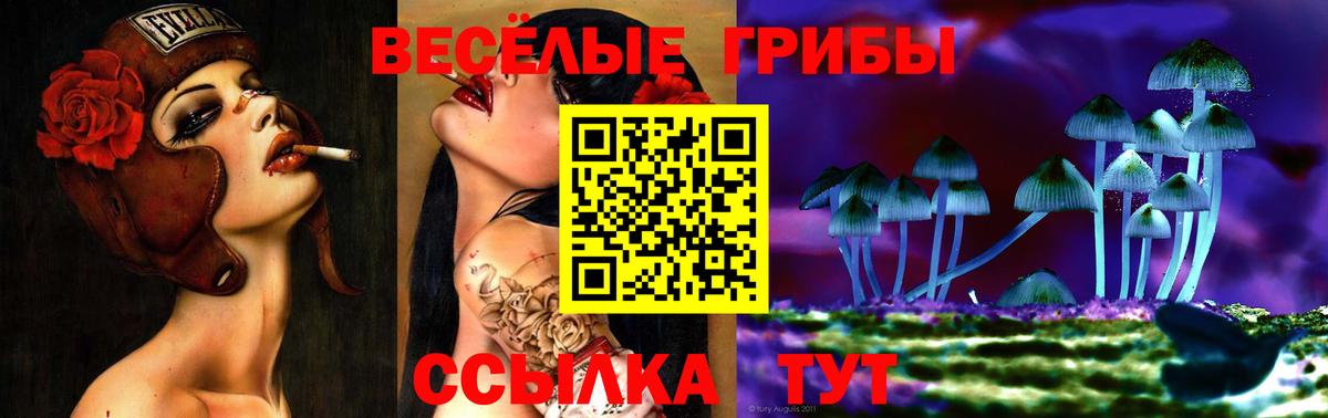 Галлюциногенные грибы Psilocybe  Галлюциногенные грибы ЛСД  Вход с VPN  Семёнов 